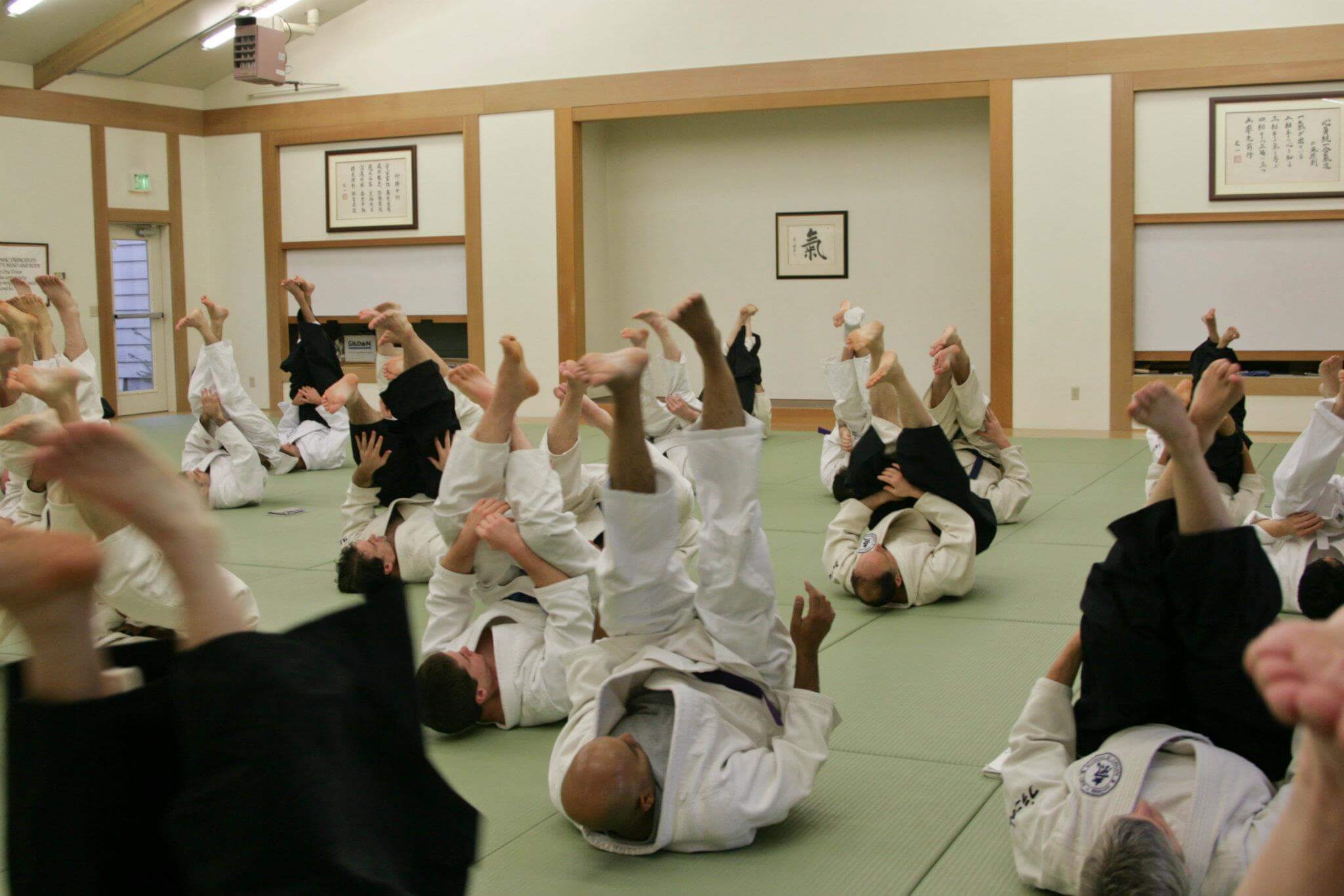 Spring Camp 2015 West Linn Ki Aikido Martial Arts