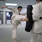 Teen & Adult Aikido: Kicks and Strikes practice