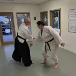 Teen & Adult Aikido